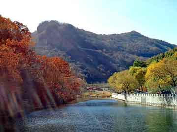 新澳天天彩免费资料大全查询，氢氧化锂生产厂家